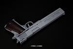 gun